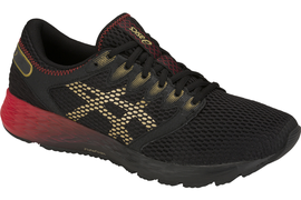 Asics RoadHawk FF 2 1011A590-001