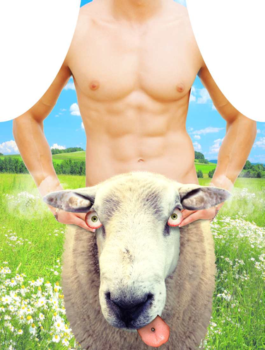 Fartuch kuchenny Sheep