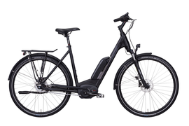 Vitality Eco+ 500Wh Disc Wa 50cm