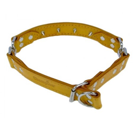 Champion Obroża Skórzana 45-60/3,0