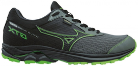 Mizuno Wave Rider GTX - męskie buty do biegania z membraną Gore-Tex J1GC187905
