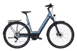 Vitality Eco22 500Wh Disc He 60cm