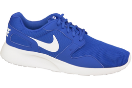 Nike Kaishi 654473-412