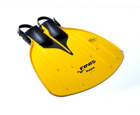 FINIS MONOPŁETWA RAPID