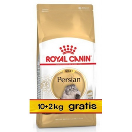 Royal Canin Persian Adult karma sucha dla kotów dorosłych rasy p