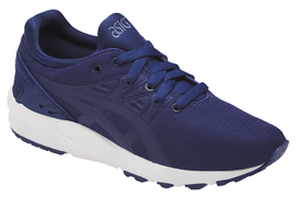 Asics Gel-Kayano Trainer Evo GS C7A0N-4949
