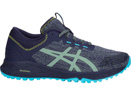 Asics Alpine XT | Slate Grey- damskie buty do biegania w terenie