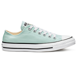 Converse Chuck Taylor All Star Seasonal Color Low Top 163357C