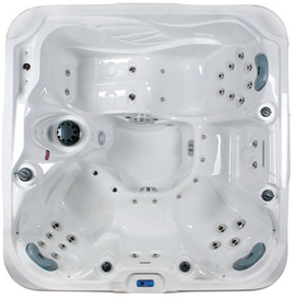 ALLSEAS SPAS WANNA SPA MODEL DS100