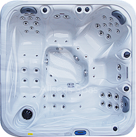 ALLSEAS SPAS WANNA SPA DREAM SERIES MODEL 201