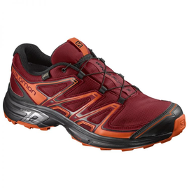 Salomon Wings Flyte 2 GTX buty do biegania w terenie