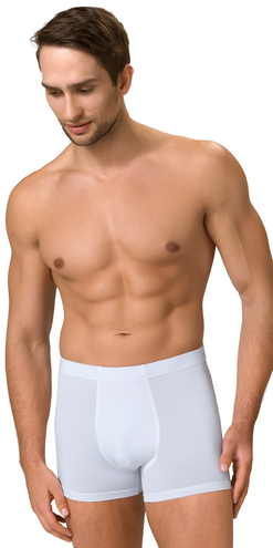 Szorty PERFECT FIT Men's Shorts LIGHTline