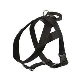 Dingo Szelki taśma z uchwytem 4cm czarne