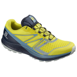 Salomon Sense Escape 2 | Sulphur - buty do biegania