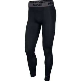 Men's Training Tights L