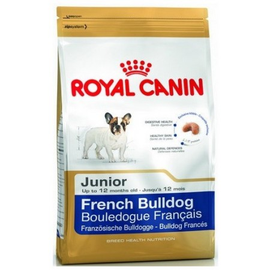 Royal Canin French Bulldog Junior karma sucha dla szczeniąt do 12