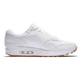 Nike Air Max 1 AH8145-109