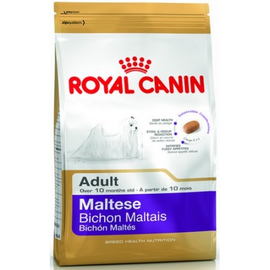 Royal Canin Maltese Adult karma sucha dla psów dorosłych rasy m