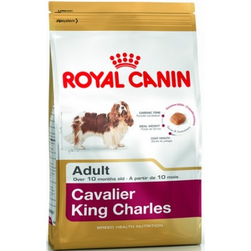 Royal Canin Cavalier King Charles Adult karma sucha dla psów