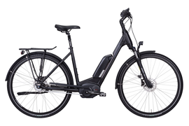 Vitality Eco6 Edt. 500Wh Disc Da 55cm