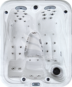 ALLSEAS SPAS WANNA SPA DREAM SERIES MODEL 101