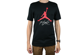 Jordan Air Jumpman Flight Tee AO0664-010