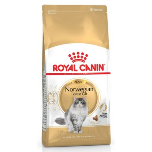 Royal Canin Norvegian Forest Cat Adult karma sucha dla kotów