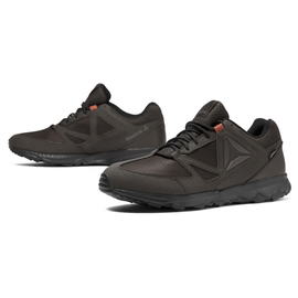 Buty Reebok Skye peak gtx 5.0 > bs7670