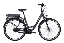 Kreidler Haarlem Eco GTA Wa 50cm