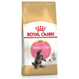 Royal Canin Maine Coon Kitten karma sucha dla kociąt, do 15
