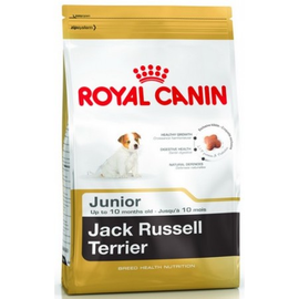 Royal Canin Jack Russell Terrier Junior karma sucha dla szczeniąt do