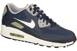 Nike Air Max 90 Gs 307793-417