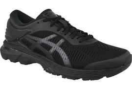 Asics Gel-Kayano 25 1011A019-002