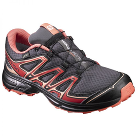 Salomon Wings Flyte 2 G-TX W damskie buty terenowe z Gore-Tex 392491