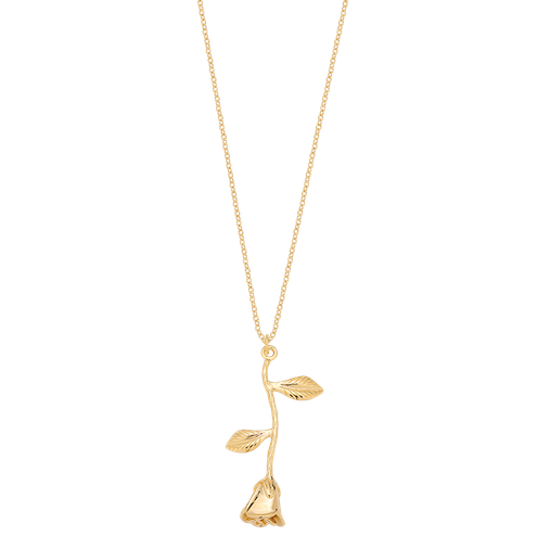 Naszyjnik Wild Rose Gold