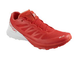 Buty do biegania Salomon S-Lab Sense 7 -  buty do biegania w terenie