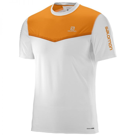 Salomon Fast Wing SS Tee