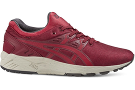Asics Gel-Kayano Trainer Evo HN512-2523