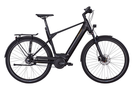 Vitality Eco20 500Wh Disc,Gates He 50cm