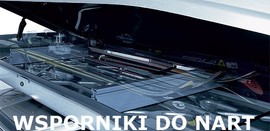 Thule Podstawka do nart - do boxów linii "780, 800 i 820 "