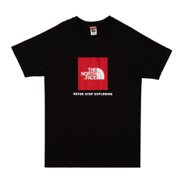 Koszulka The North Face Raglan Red Box Tee (T93BQOJK3)