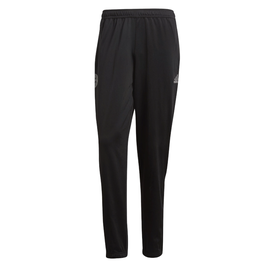 Spodnie adidas Bayern Monachium Icon CW7334