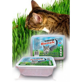 Certech Super Benek Trawka szybkorosnąca dla kota 150g