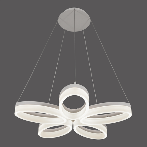 SAMOA LED 36W lampa wisząca 3642/5L ACB