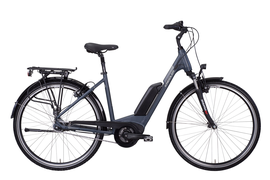 Vitality Eco1 300Wh HS11 Wa 45cm