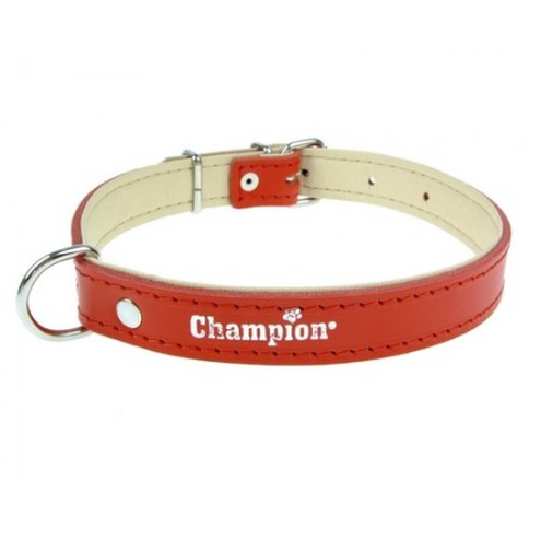 Champion Obroża Skórzana na skórce czerwona SK/S 60/2,5 (R)