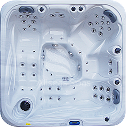 ALLSEAS SPAS WANNA SPA DREAM SERIES MODEL 201