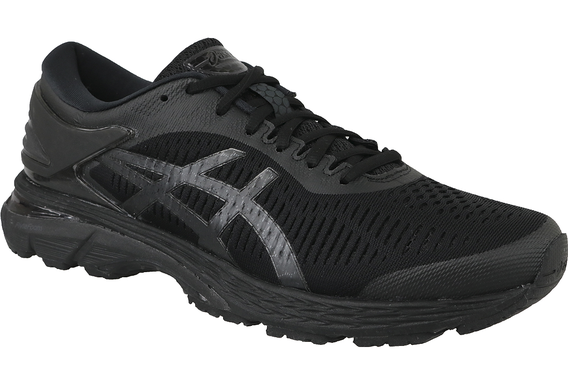 Asics Gel-Kayano 25 1011A019-002