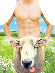 Fartuch kuchenny Sheep