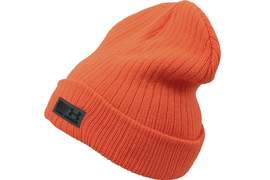 UA Truck Stop Beanie 1283122-825